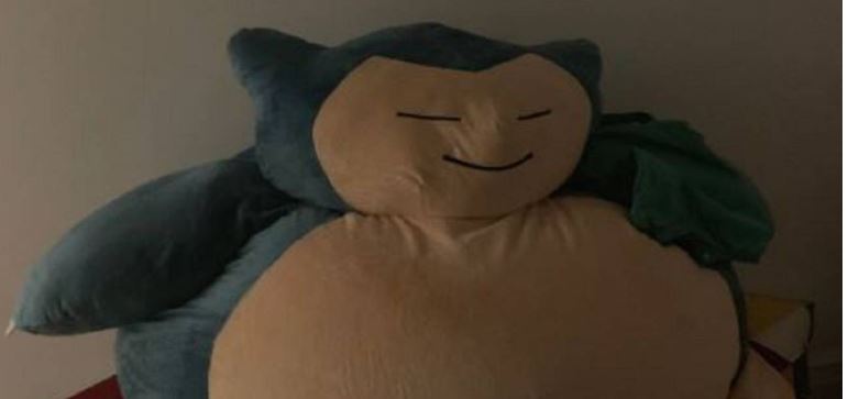 increible-hombre-ebrio-al-lleva-un-pokemon-gigante-su-casa