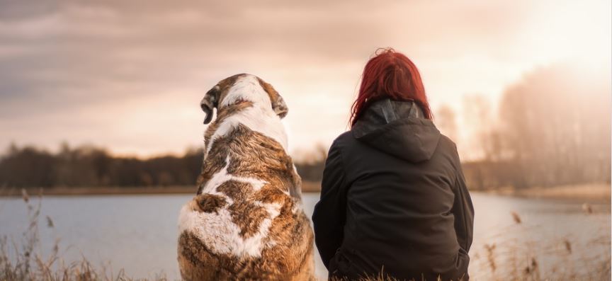 segun-estudio-las-mujeres-duermen-mejor-con-un-perro-que-con-su-pareja