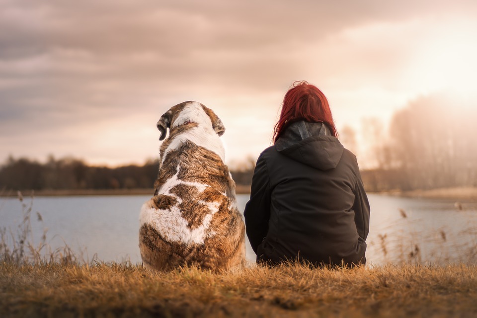 beneficios-de-hablar-con-tu-mascota-como-si-fuera-un-bebe