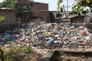 reto-viral-moviliza-miles-de-usuarios-recoger-basura