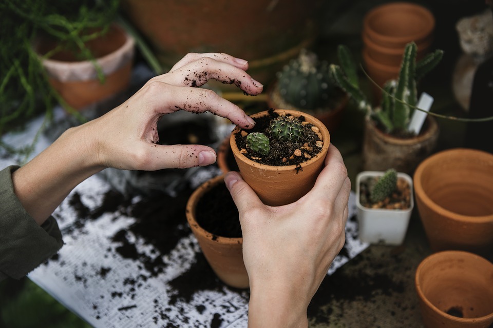 si-eres-ecologista-y-cuidas-el-planeta-deberias-leer-esto