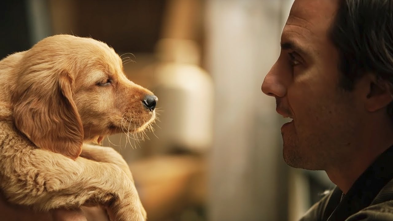 lo-mas-tierno-este-es-el-trailer-de-mi-amigo-enzo