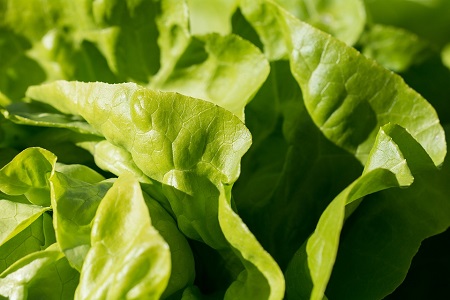 Un ingrediente sin sabor es el secreto de esta ensalada