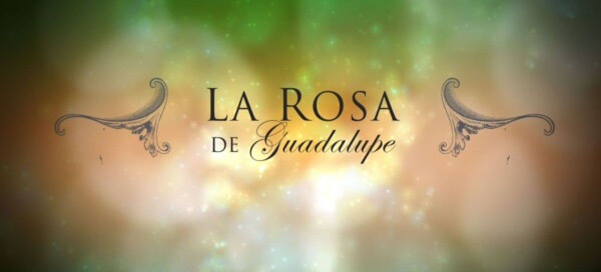 ¿Será posible? Seguidores de La Rosa de Guadalupe aseguran que este programa predijo el covid-19