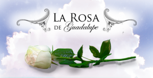 La-Rosa-e1594084031173