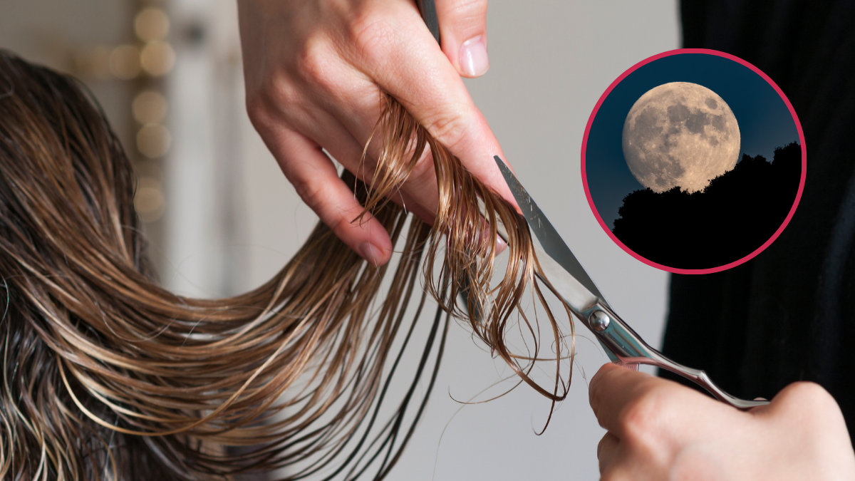 Peluquero cortando cabello; luna llena.