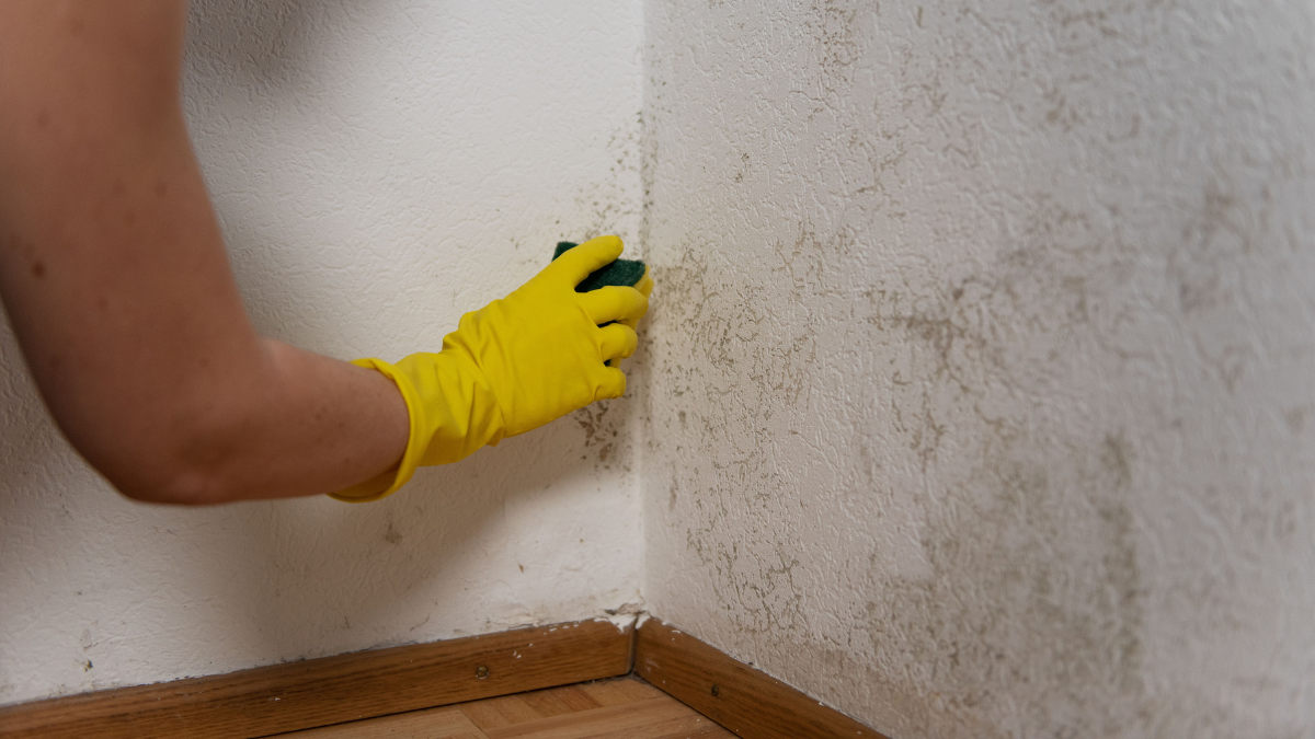 Persona limpiando una pared blanca.