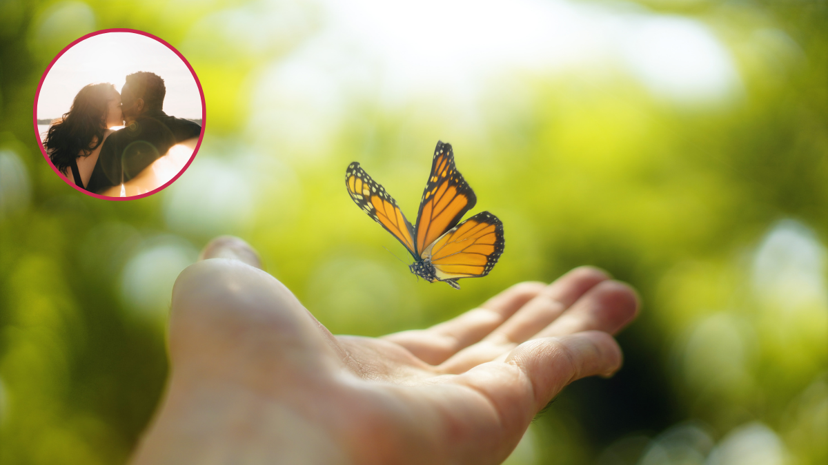 Mano de una persona cerca a una mariposa amarilla; pareja abrazada.